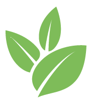 Buzz Shrub Maintenance