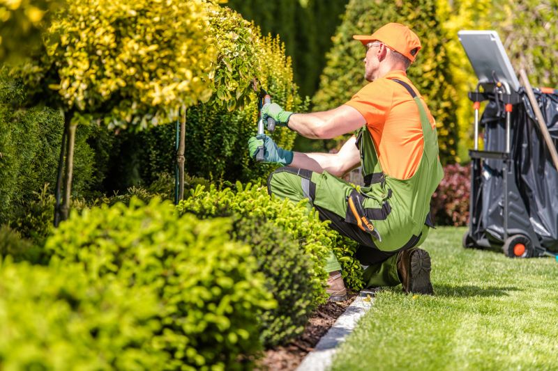 Shrub Maintenance