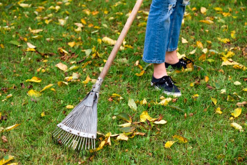 Fall Lawn Care Tools