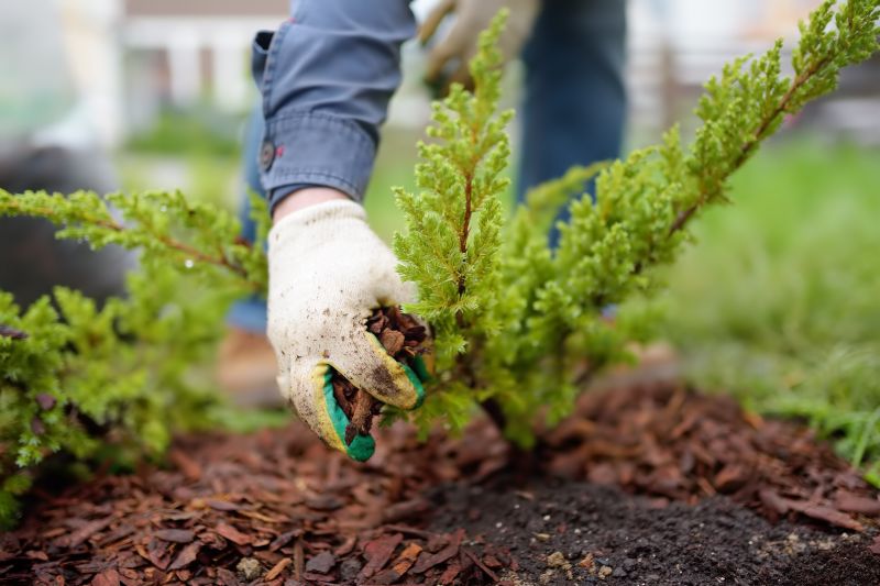 Mulching Benefits