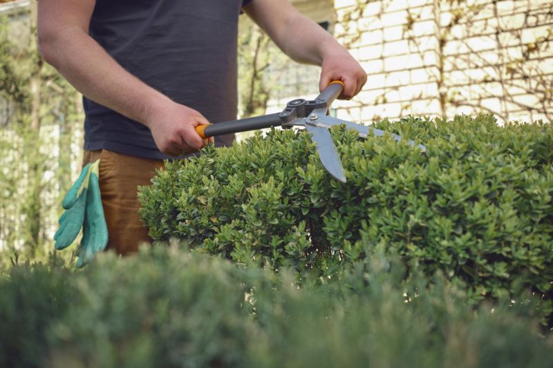 Seasonal Shrub Care