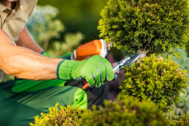 Specialized Shrub Care Providers